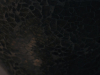 7040C6C9-15DB-4E5F-A4E0-189028F99CCE.png