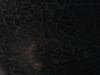 A465A920-634C-4A07-829A-393CF0F644A0.png