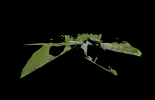 Screenshot 2025-05-20 084205.png